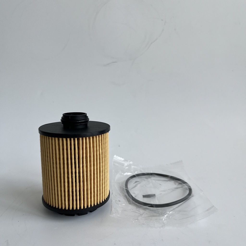 HU7043Z 16125565980 oaljefilter foar PETGEOT